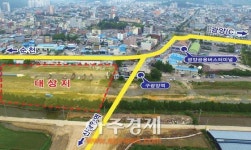 전남도립미술관 광양 확정에 탈락한 여수 반발 후폭풍