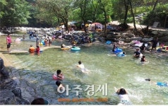 여름 휴가철 맞아 계곡 있는 도내 자연 휴양림 5곳 추천