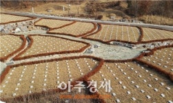 양주시, 편안한 자연 속 영혼의 쉼터  경신 하늘뜰 공원운영