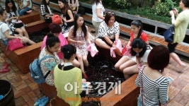 한국관광공사,  중화권 여행업계  대상 대규모 팸투어 진행...참신하고 새로운 방한상품으로 中관광객 유치