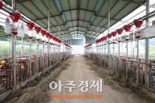 완주군, 한우산업 ICT융복합 모델개발사업 선정