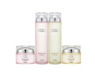 어퓨실키에센스선인팩트21호,23호