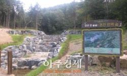완주 경천 편백나무 숲, 녹색쉼터로 새 단장