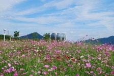 가을의 정취를 느낄 수 있는 ‘중덕지 자연생태공원’으로 오세요.