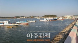 경기도보건硏, 어패류 섭취시 비브리오패혈증균 주의