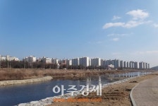 동두천시 향기나는 수목으로 신천정비 실시