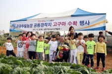 인천남동구 공공주말농장 공동경작지 고구마 기부