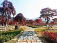 정읍 내장호 주변에 전국 제일의 단풍생태공원 조성