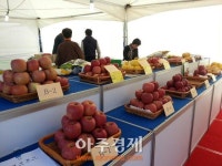 경북 최고 친환경농산물 한자리에 모여