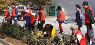{포토} 세종시 한솔동, 가로화단 정비