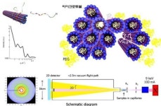 알츠하이머병 원인 단백질 타우 새로운 기능 규명