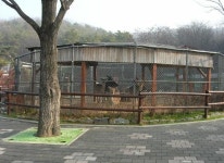 인천대공원에서 다양한 동물들을 만나보세요