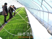 양주시, 에너지절감형 부추 생력재배시범사업 현장평가회