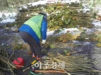 성남시 지팡이 1만개 주요 등산로 배치