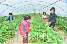 순창군, 농업·농촌 예산 820억 투자