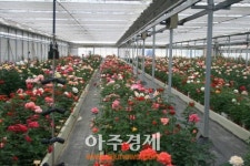 [고양특집]고양시, 고부가가치 농업육성으로 경쟁력 있는 고양농업 구축