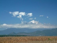 [하도겸의 차 한 잔] 무지개 빛깔의 운남을 만나다.