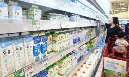 이마트·홈플러스·롯데마트·코스트코 등 3월 첫째주 일요일 휴무없이 정상영업