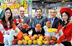 홈플러스, 페루산 애플망고 출시… 현지농장 소싱·판매