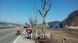 임실군, 쾌적한 가로환경 조성 적극