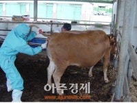 농장별 방역관리는 촘촘하게, 방역의식은 탄탄하게