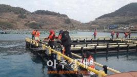 전남 어촌체험마을 인기…지난해 48만9000명 다녀가