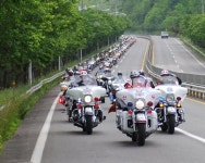 봄기운 가득한 렛츠런파크 부산경남 봄 축제 다채
