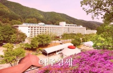 한화리조트 양평, 더그림 패키지 판매
