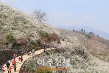中 산동성 언론인, 순천·광양서 한국의 멋느낀다