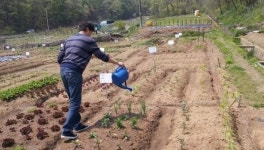 세종시, 주말농장 분양…4월4일까지 신청