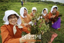 <지역축제>제21회 한라산 청정 고사리축제 4월 23일~24일 열려