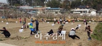 나와 내 가족 건강은 내손으로’