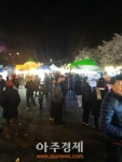 군산시 벚꽃 절정, 군산 먹거리 장터 상춘객 ‘성황’