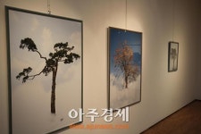 군포문화재단 중견작가 초대전 신호 사진전 운영