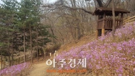 율곡수목원 유아숲체험원 운영 시작
