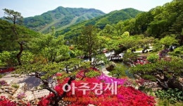 곤지암 화담숲, 분재원 야외전시관 오픈