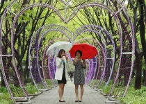 서구, ‘힐링아트페스티벌’ 오는 6~8일까지 열려