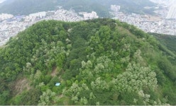 부산시 최고(最古)의 산성, 배산성지 7세기 전 석축산성으로 추정