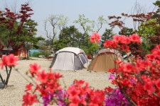 자연과 더불어 떠나는 캠핑 여행…청산에 살어리랏다