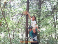 군포시 산본2동 새집 만들기 시행
