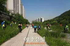안양시 대한노인회 만안구지회 안양천 환경정화 활동