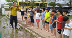 세종농기센터, 25일 감성초교 전교생 모내기 체험