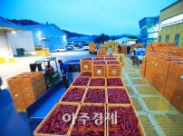 영양고추유통공사, 2016년산 홍고추수매계약 실시