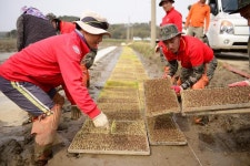 “해병대 제2사단 5연대, 농번기 일손 돕기 한창”