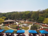 “부천수목원 둘레길에서 시원한 숲속 산책 즐기세요”