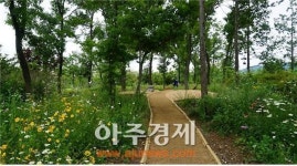 순천만국가정원 도시 숲 힐링 산책길 조성