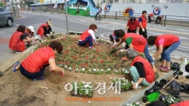 구리 수택1동, 쾌적한 거리조성가꾸기…여름꽃 5500본 심어