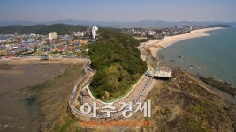 대천해수욕장 스카이바이크 타고, 바다위를 달려보자!