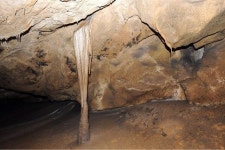 [하도겸의 차 한 잔] 더 늦기 전에 이번 주말 평창 백룡동굴에 가보세요!