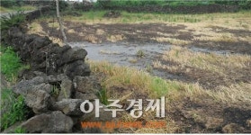 [단독]제주, 무늬만 돼지열병 청정지역…양돈장 관리는 엉망